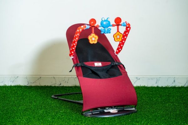 Love Baby Bouncer - Image 3