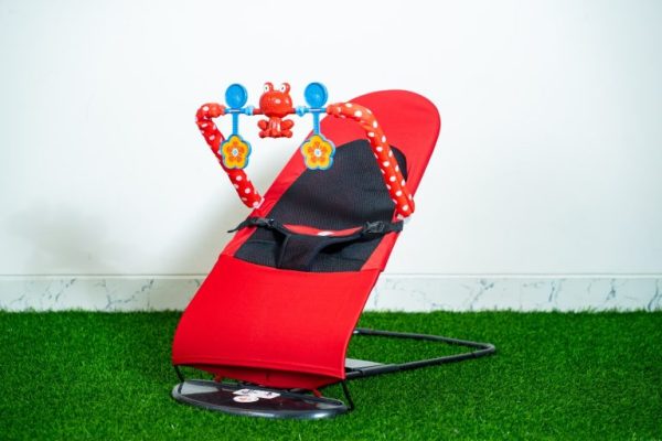 Love Baby Bouncer - Image 4